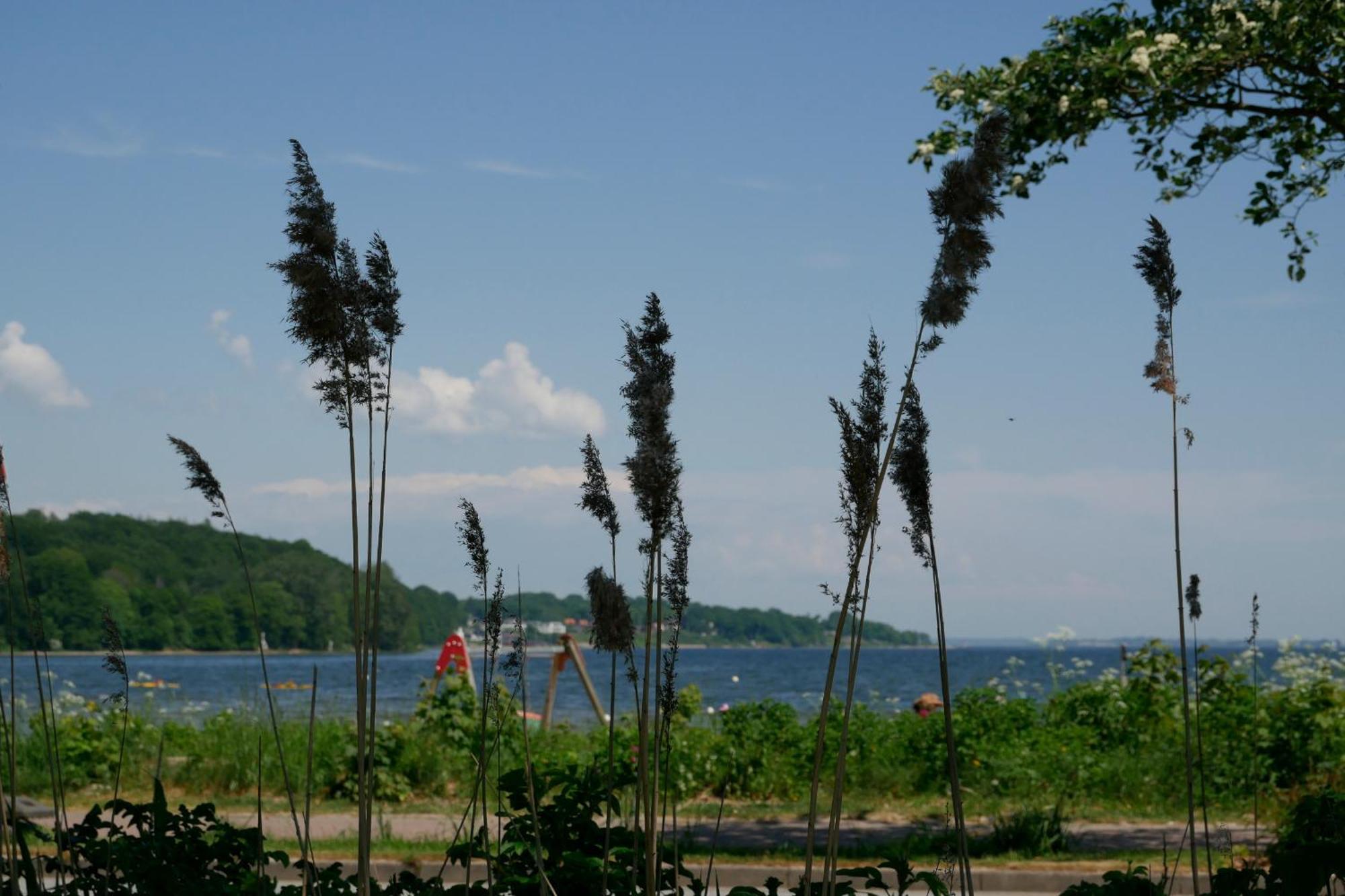 Ostsee, Wunderschoene Wohnung Mit Meerblick Гаррісле Екстер'єр фото